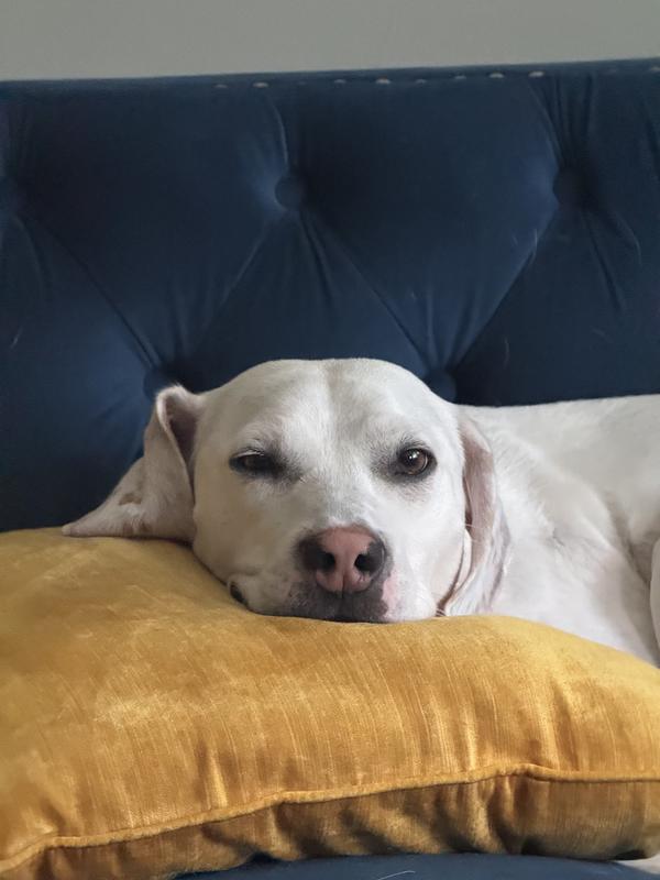 No leaky eye marks anymore