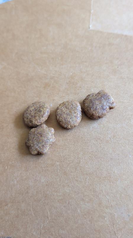 Review photo 3.