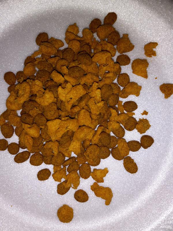 Review photo 4.