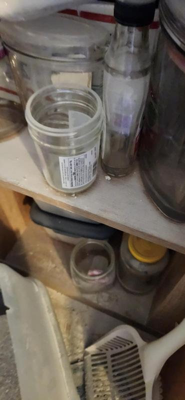 Shelves in office near litter box covered with litter dust