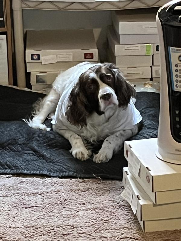 Mayah wondering when dinner will be served