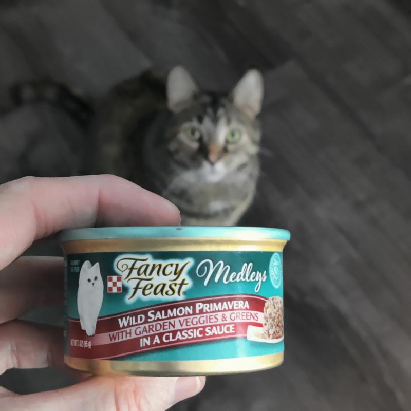 Fancy feast best sale wild salmon primavera