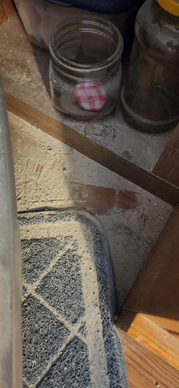 Pile of dust behind the litterbox which is partially covered (high sides, open top)
