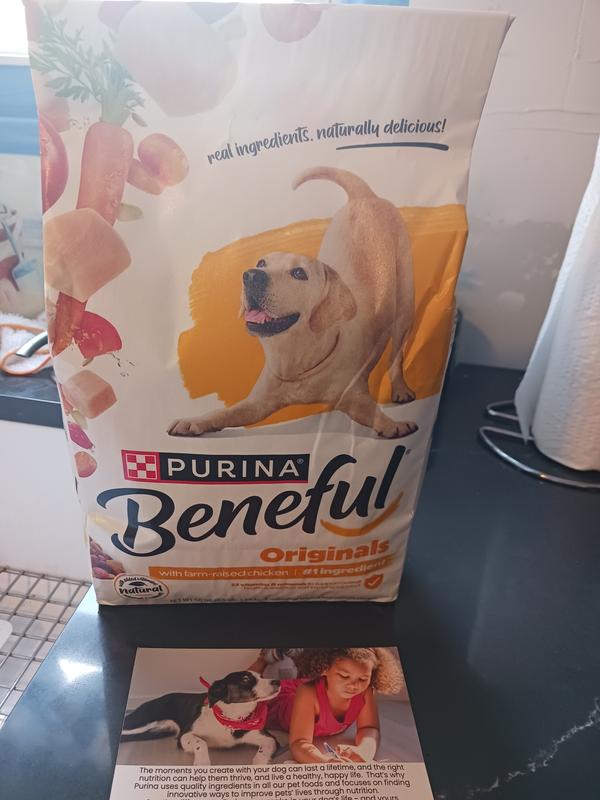 Photo - commentaire 5.