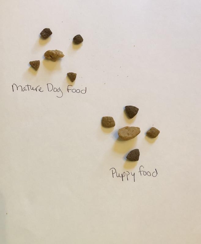 Mature food size in comparison to puppy food size