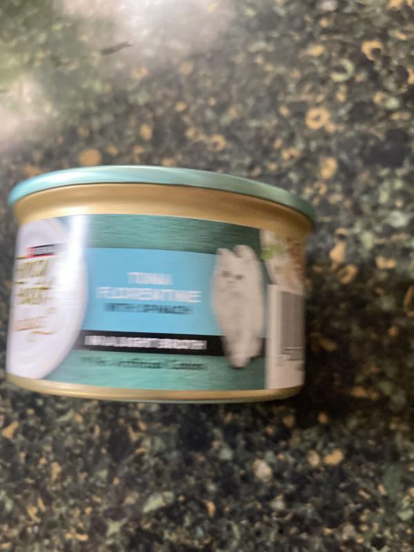 Photo - commentaire&nbsp;3.