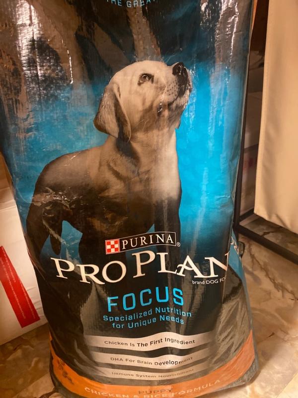 Pro plan focus dog food reviews hotsell