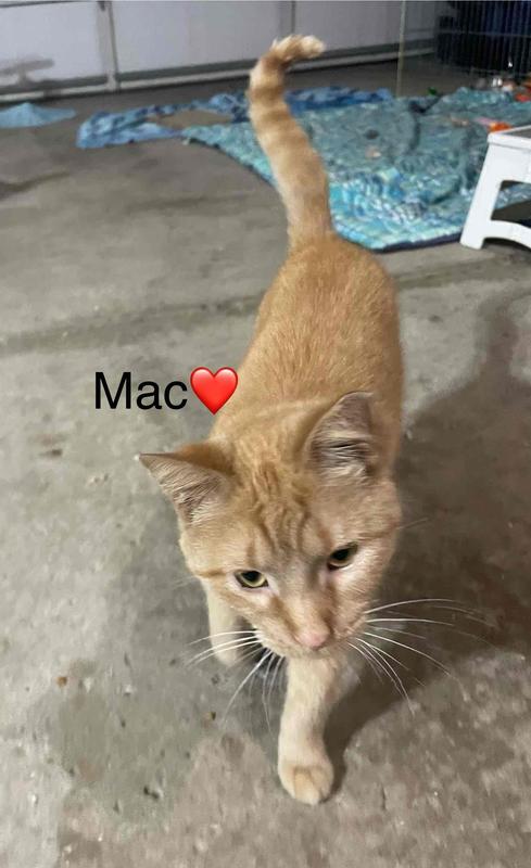 Photo - commentaire&nbsp;8.