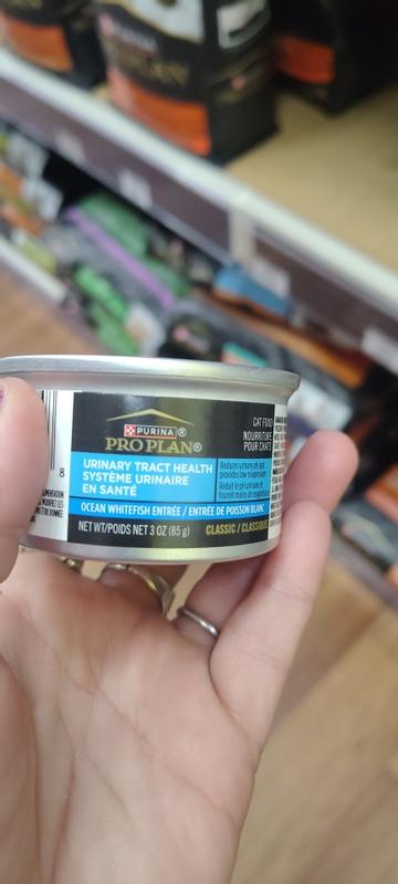 Review photo 2.