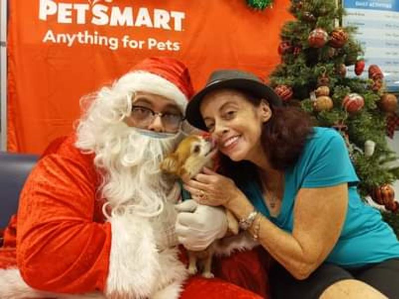 BUTTONS GETS A PURINA TREAT FROM SANTA