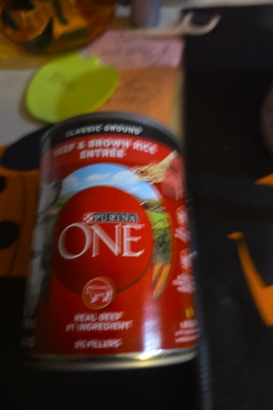Review photo 3.