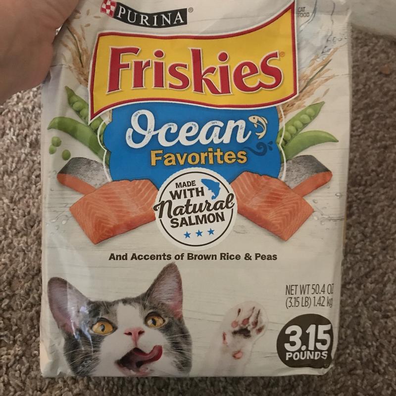 Purina Friskies Dry Cat Food Ocean Favorites With Natural Salmon