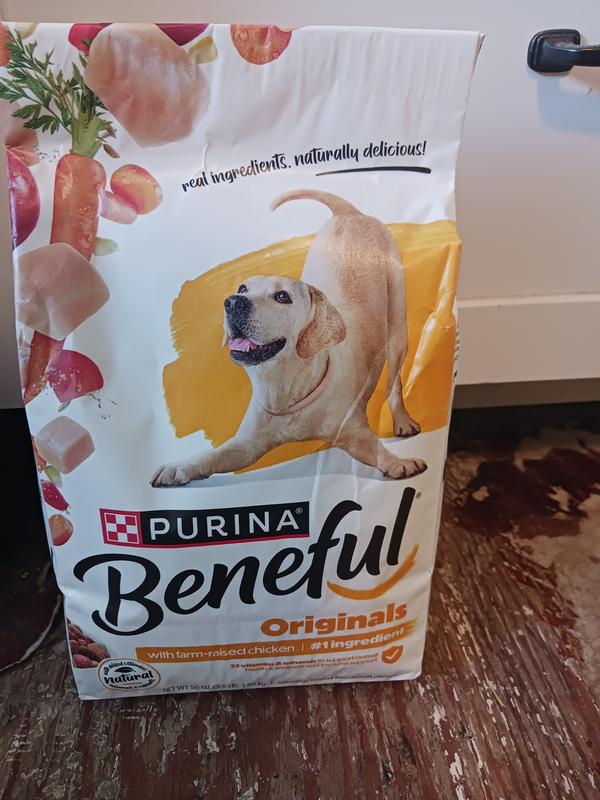 Photo - commentaire 6.