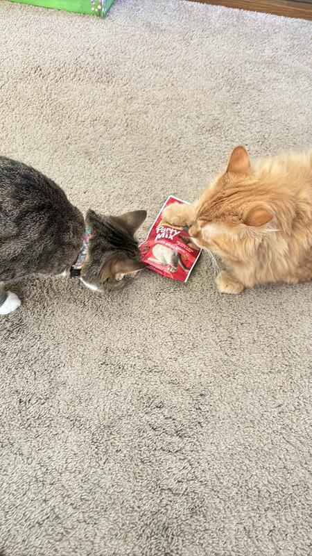 Photo - commentaire&nbsp;2.