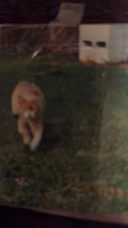 Review photo 2.
