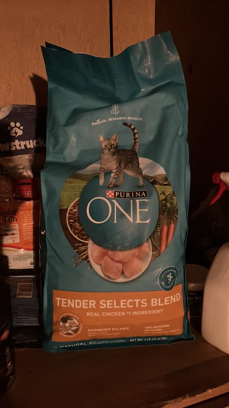 Purina ONE Natural Dry Cat Food Tender Selects Blend With Real Chicken 16 lb. Bag