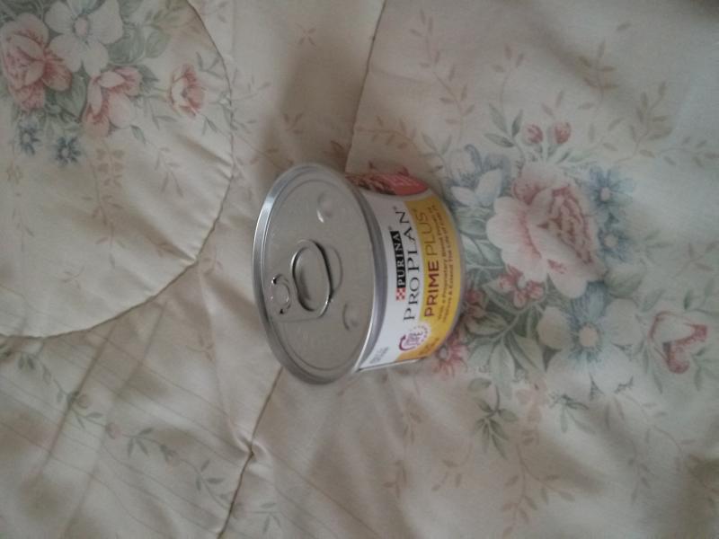 Review photo 3.