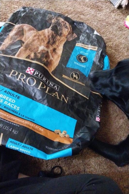 Pro Plan Adult Essentials Shredded Blend Large Breed 15.4kg Ren s Pets