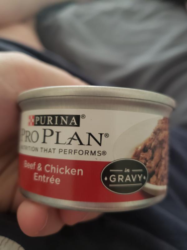 Purina Pro Plan Gravy Beef & Chicken Entree Wet Cat Food, 3 oz. | Petco