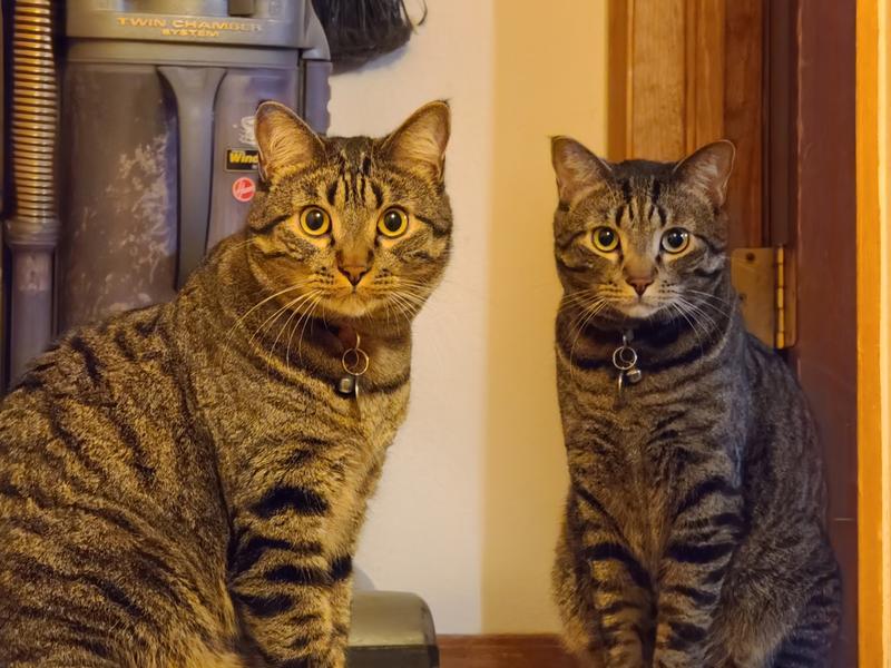 What? We're not doing nothing!