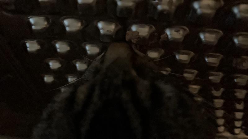 Review photo 4.