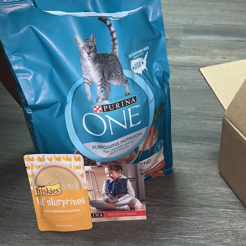 Purina ONE Natural Dry Cat Food Tender Selects Blend With Real Chicken 3.5 lb. Bag