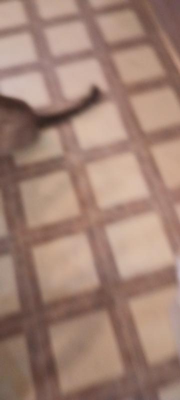 Review photo 3.