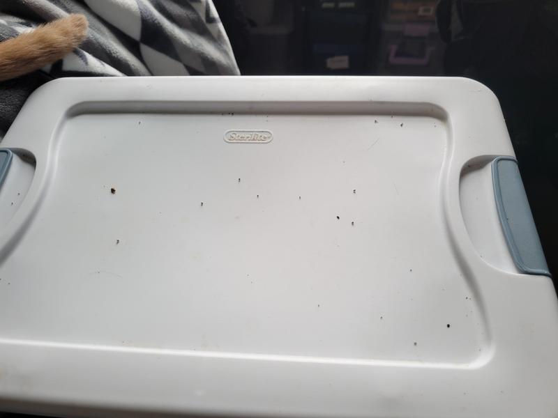 Review photo 5.