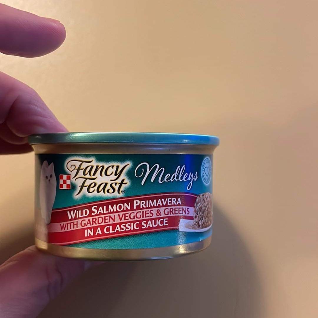 Fancy Feast Medleys Salmon Primavera Veggie Broth Cat Food
