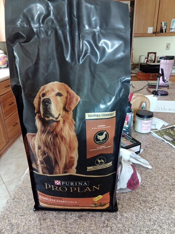 Purina Pro Plan High Protein Dog Food With Probiotics for Dogs Shredded Blend Chicken Rice Formula Pet Supplies Plus