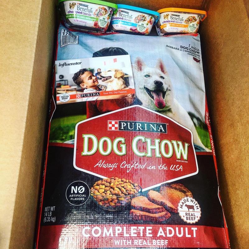 best grain free dog food orejen vs fromm Fromm Gold Large Breed Adult Dry Dog Food 5 lbs