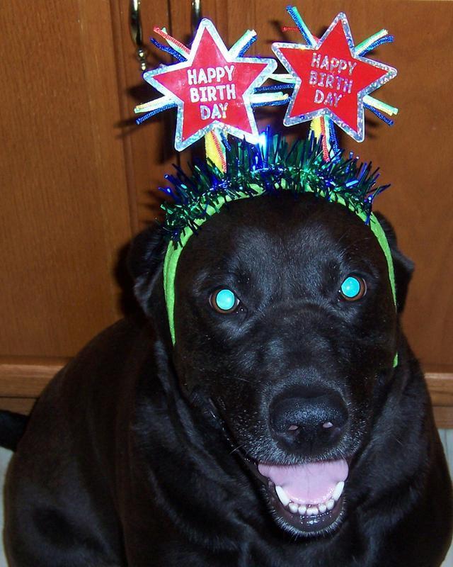 Lucy Liu luvs Chicken Jerky Curls