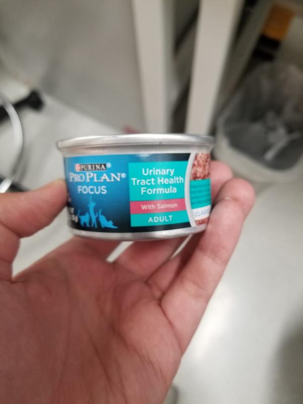 cute, recyclable can