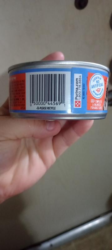 Review photo 4.