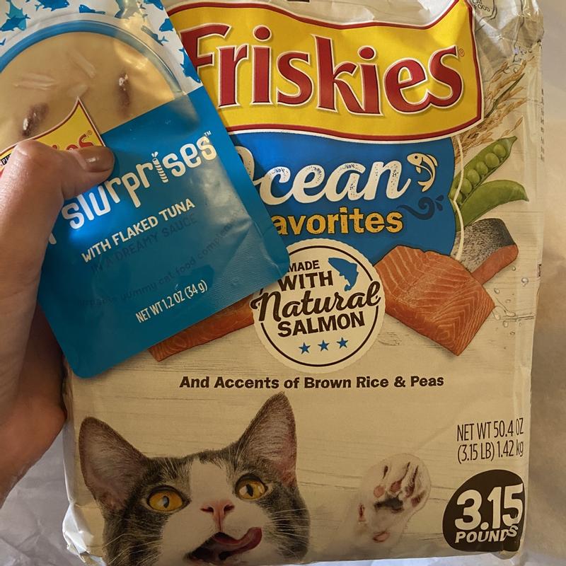 Purina Friskies Dry Cat Food Ocean Favorites With Natural Salmon