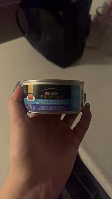 Review photo 2.