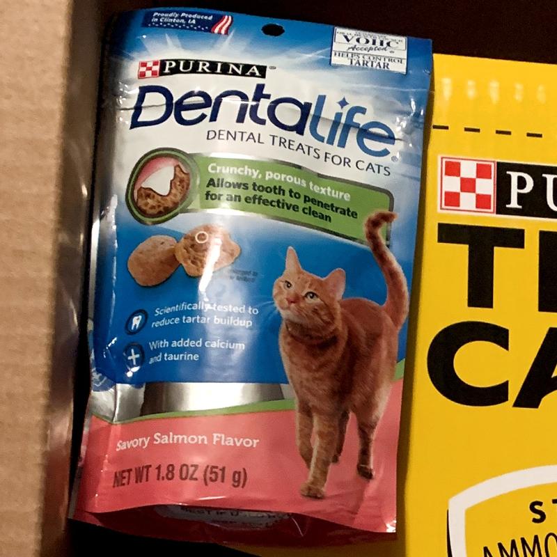 purina cat dental treats