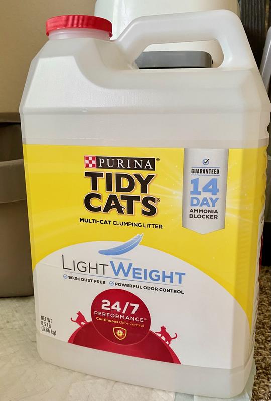 Lightweight kitty outlet litter reviews