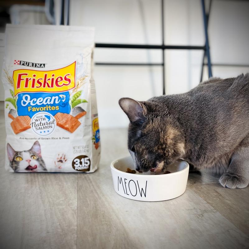 Purina Friskies Dry Cat Food Ocean Favorites With Natural Salmon