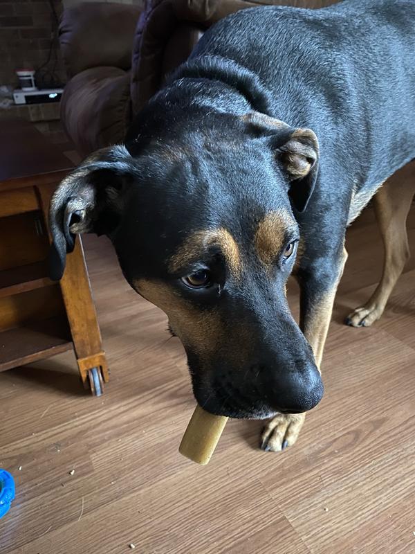 He loves his Busy Bones