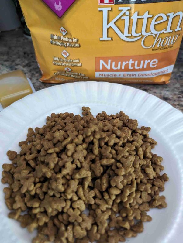 Purina Kitten Chow Nurture Healthy Development with Real Chicken Dry
