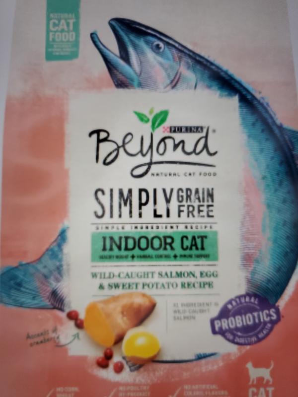 Purina Beyond Grain Free Natural Dry Cat Food Simply Indoor