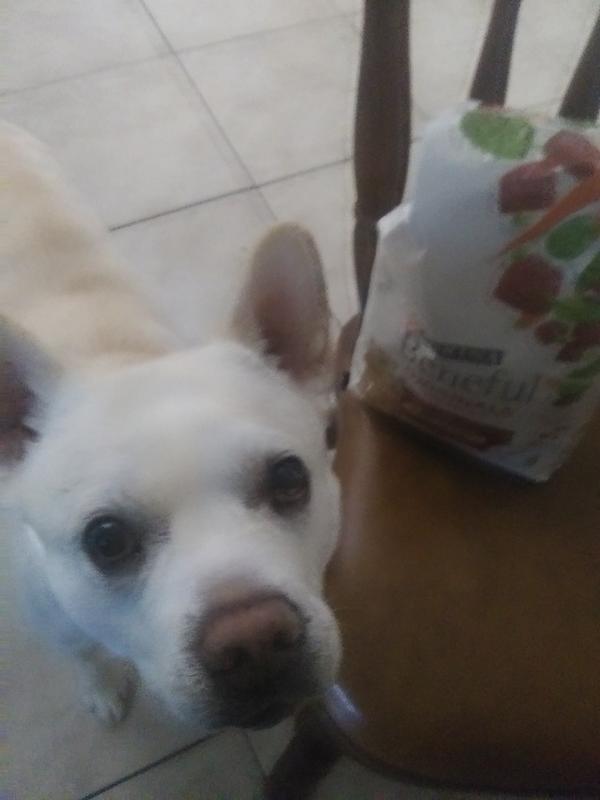 MY BOY GABE WITH HIS FAVORITE GRUB!