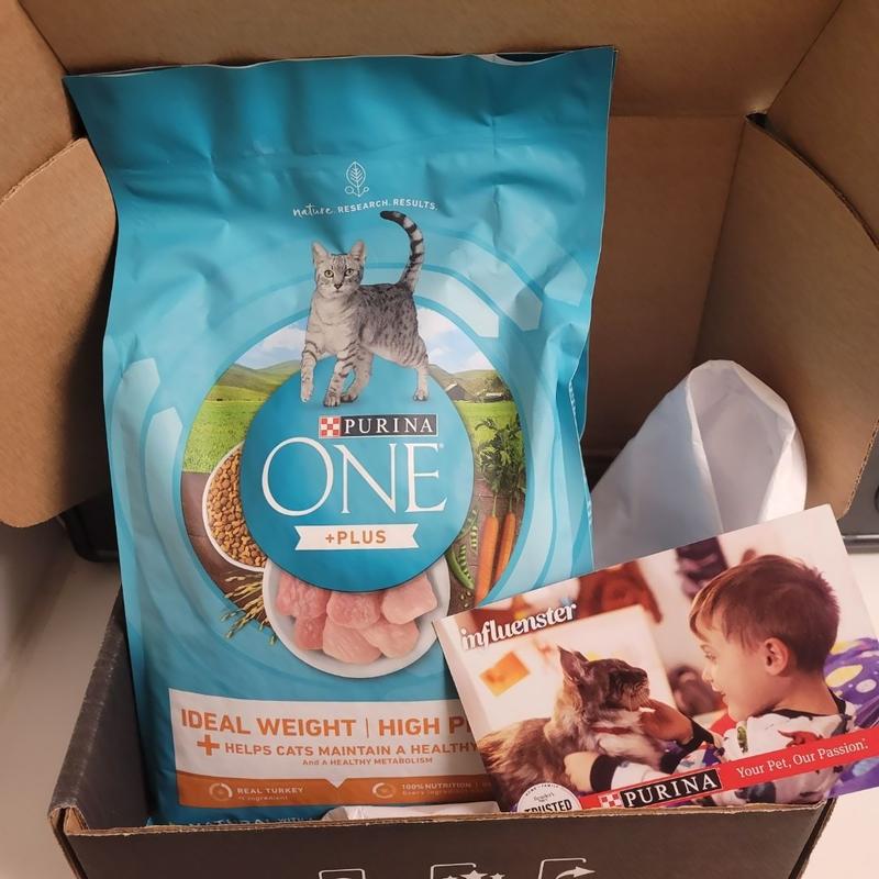 Purina ONE High Protein Healthy Weight Dry Cat Food Plus Ideal