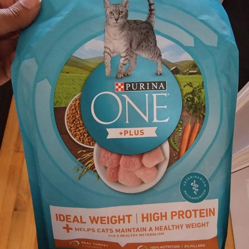 Purina ONE High Protein Healthy Weight Dry Cat Food Plus Ideal