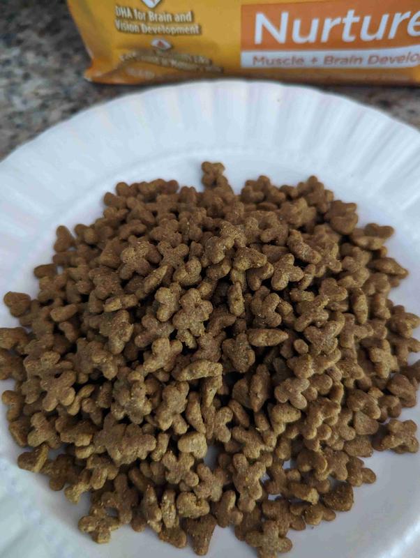 Purina Kitten Chow Nurture Healthy Development with Real Chicken Dry