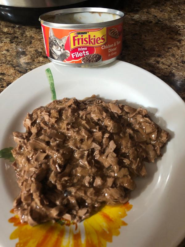 open-cat-food-can