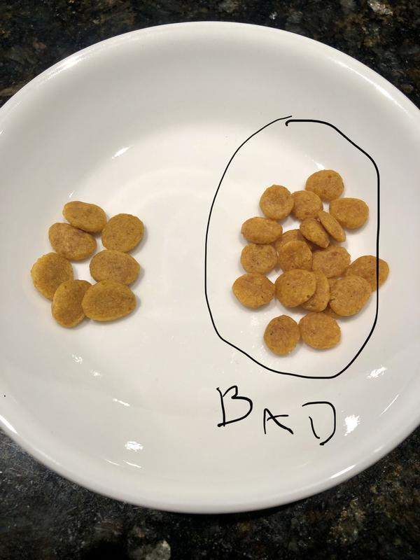 Traditional food vs food which made our cats sick.