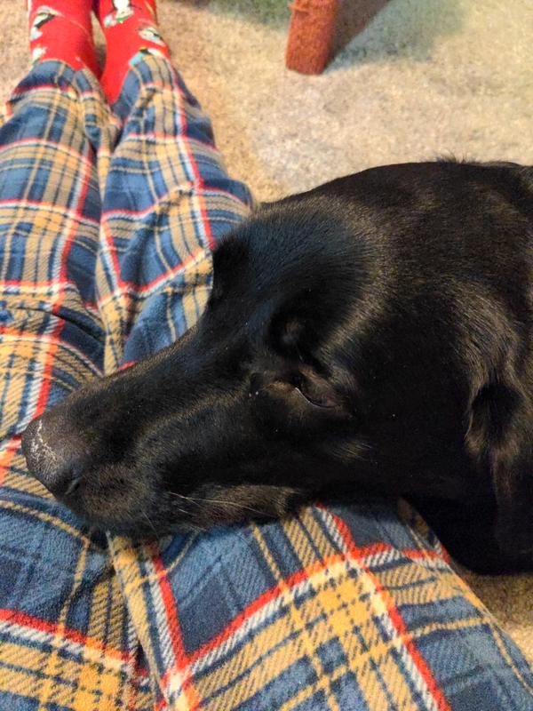 Snuggle time.