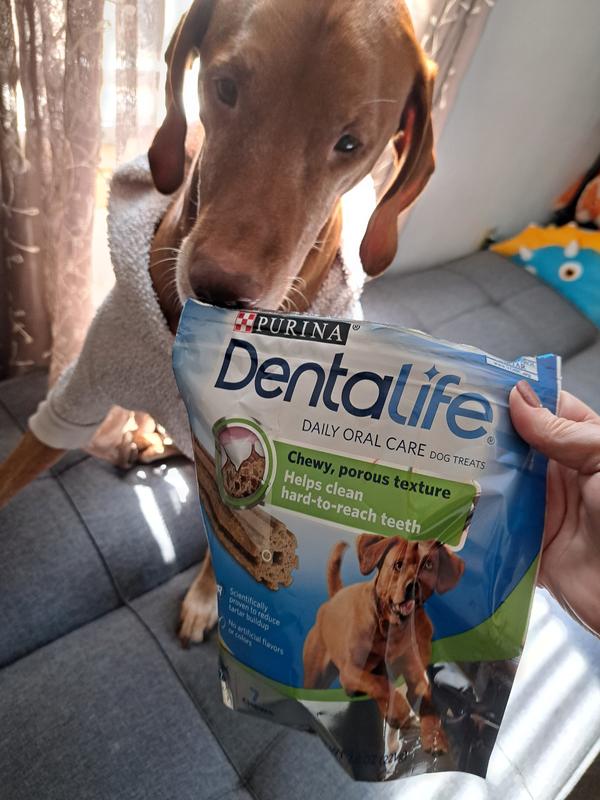 Purina Dentalife Large 4 Sticks 142 gr